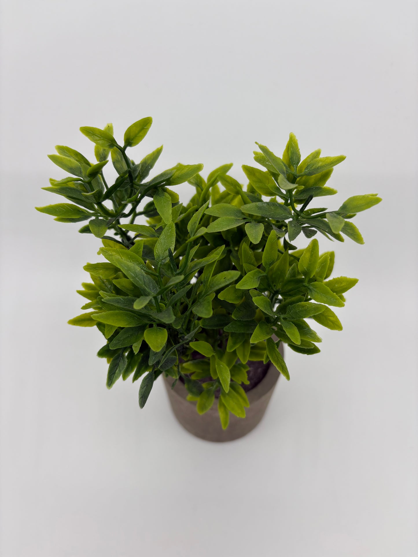 Life Botanic Synthetic Small Pot Plant