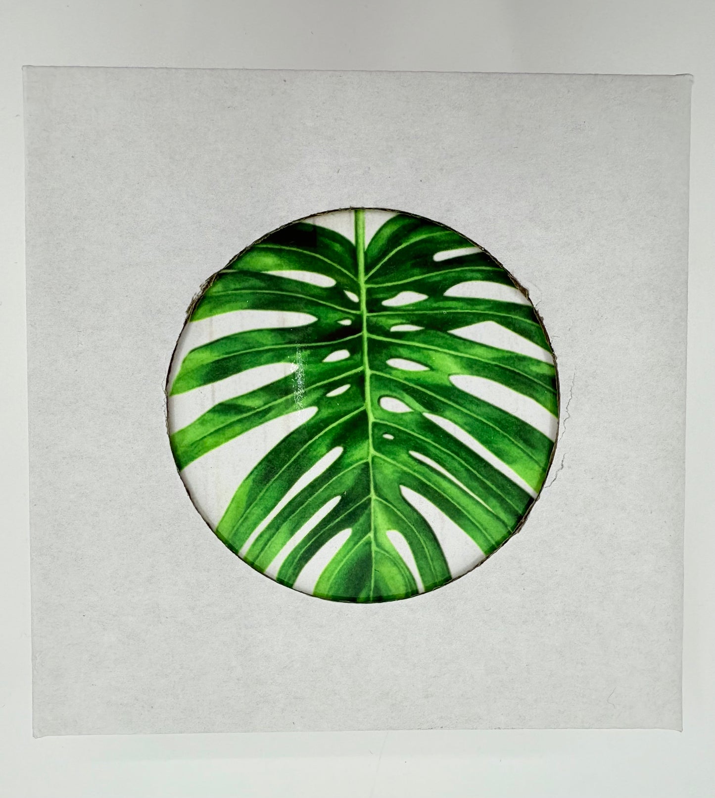 Palm Leaves Set of 4 Ceramic Coasters - 12x12cm