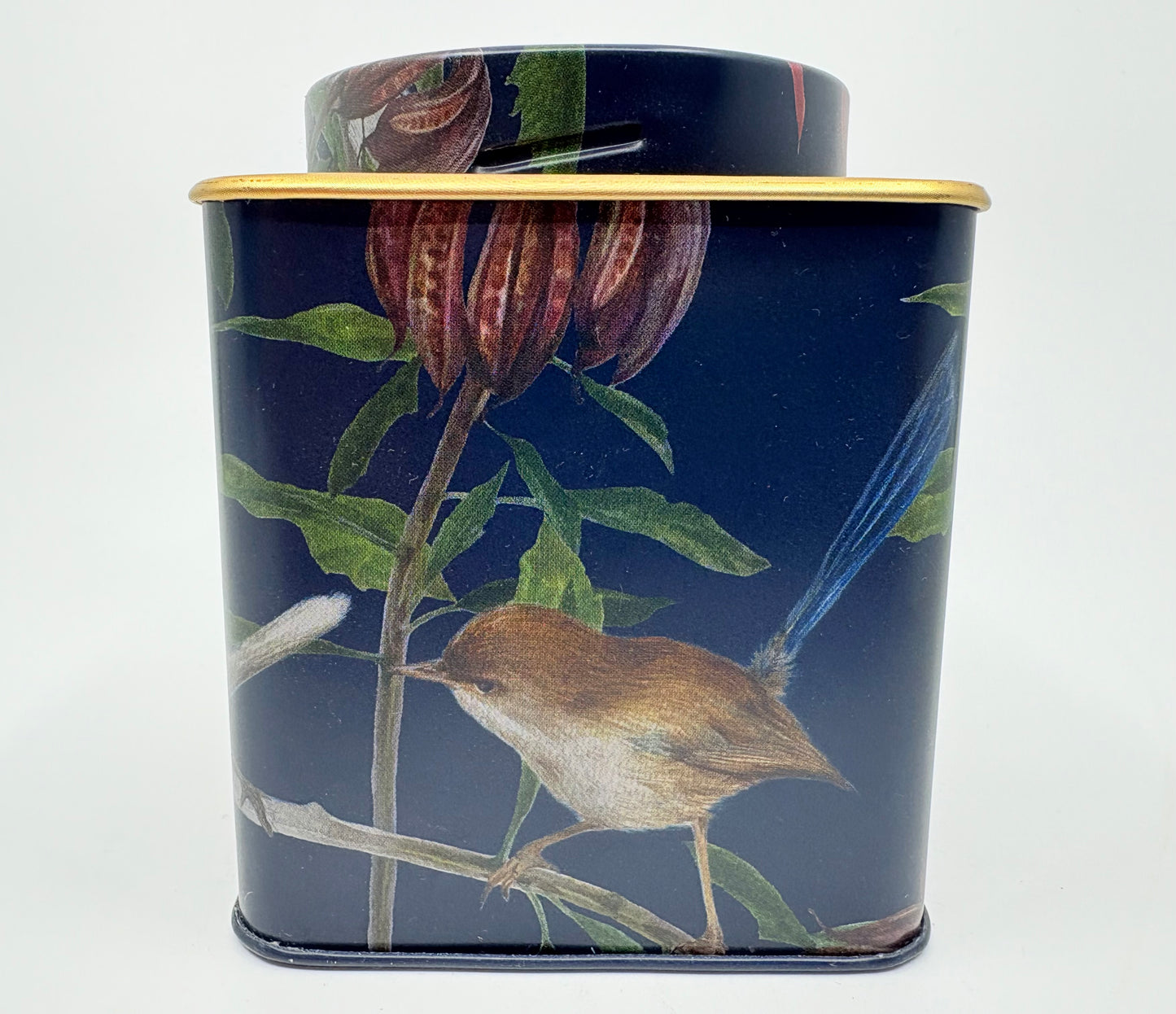Australian Bird Tin Container - Blue Wren - 11x9x9cm