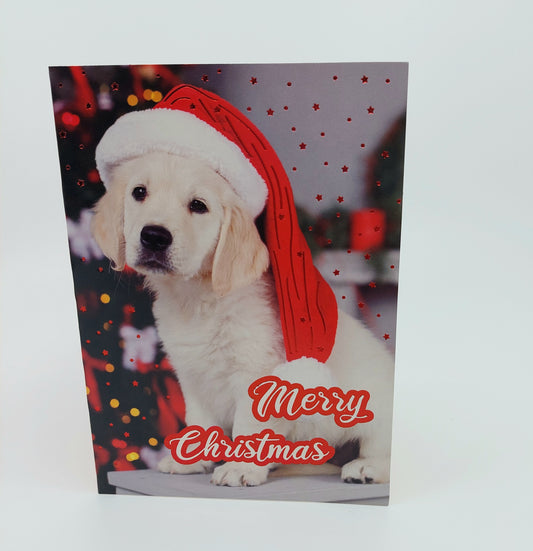 Christmas Cards - 10 Per Pack