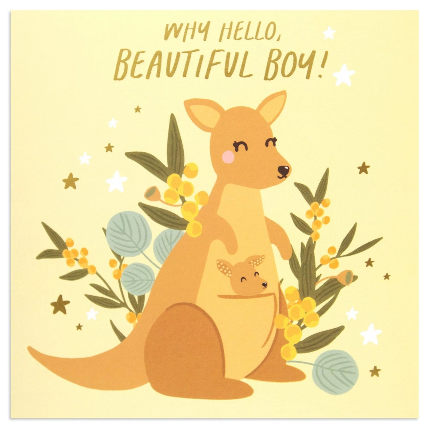 Australian Spirit Bush Buddies - Well Hello Beautiful Baby Boy - Kangaroos