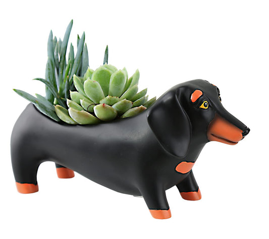 Baby Otis Planter Vase - Dachshund Puppy Dog