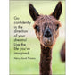 24 Animal Affirmation Cards + Stand - Llama Nirvana