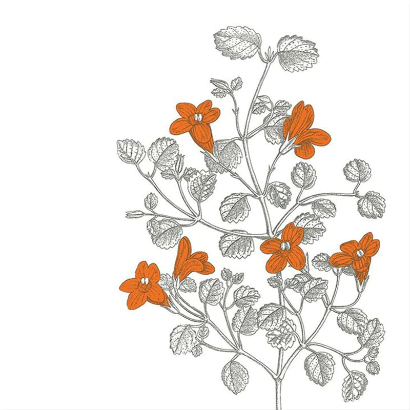 Taurepo 100% Cotton Napkin - 50x50cm