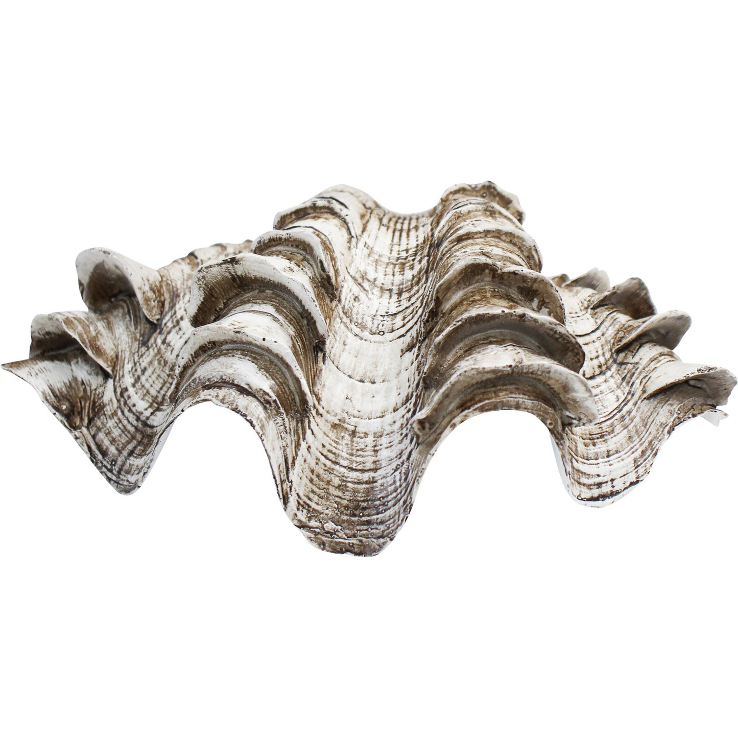 Clam Shell - Lavida Trading - 20x12.5x7.7cm