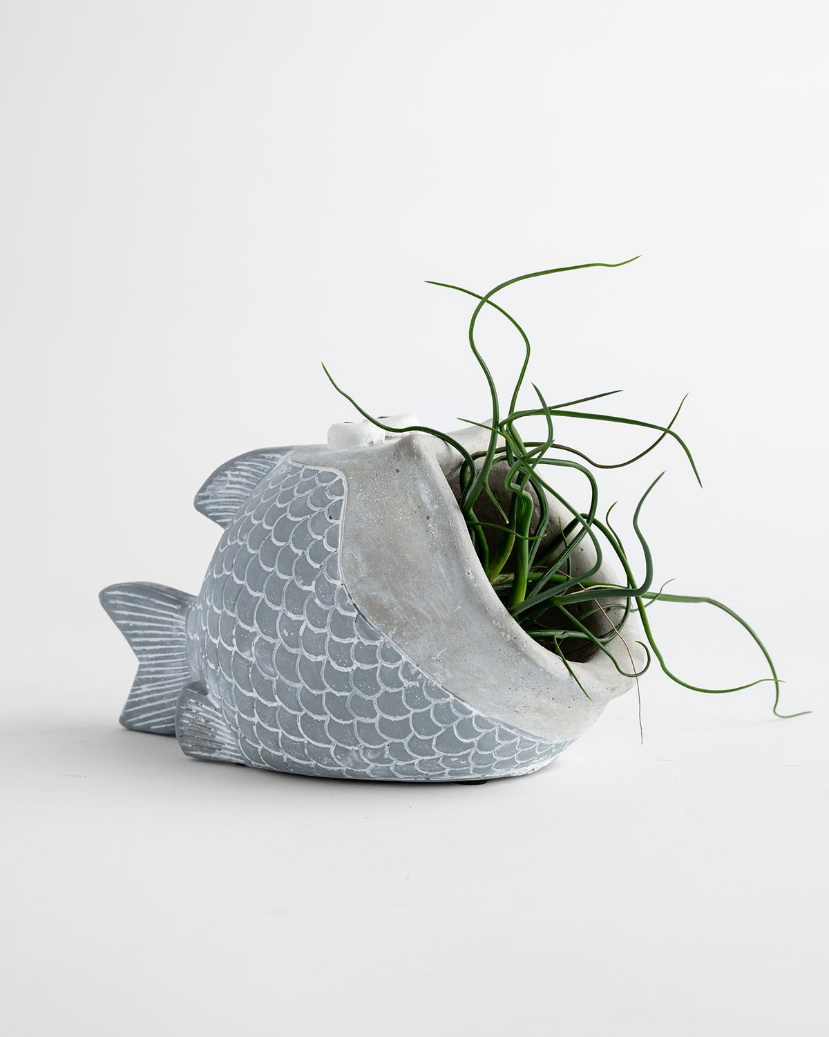 Life Botanic Fish Planter 20x11.5cm - White Wash