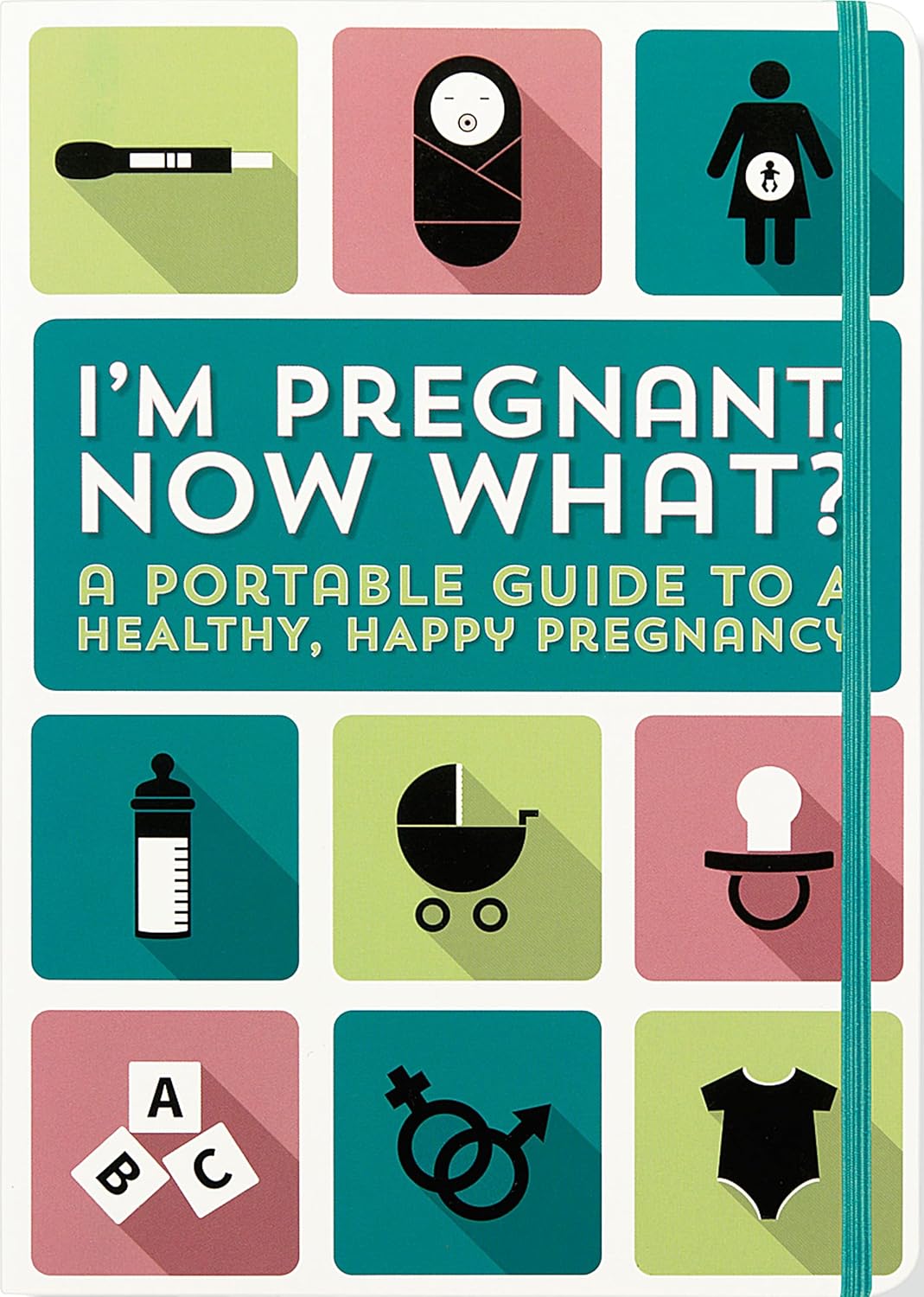 I'm Pregnant, Now What? A Portable Guide Book to a Healthy, Happy Pregnancy - 14.6x21cm