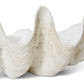 Coast to Coast Ceramic Clam Shell Ornament - 15x10x5cm