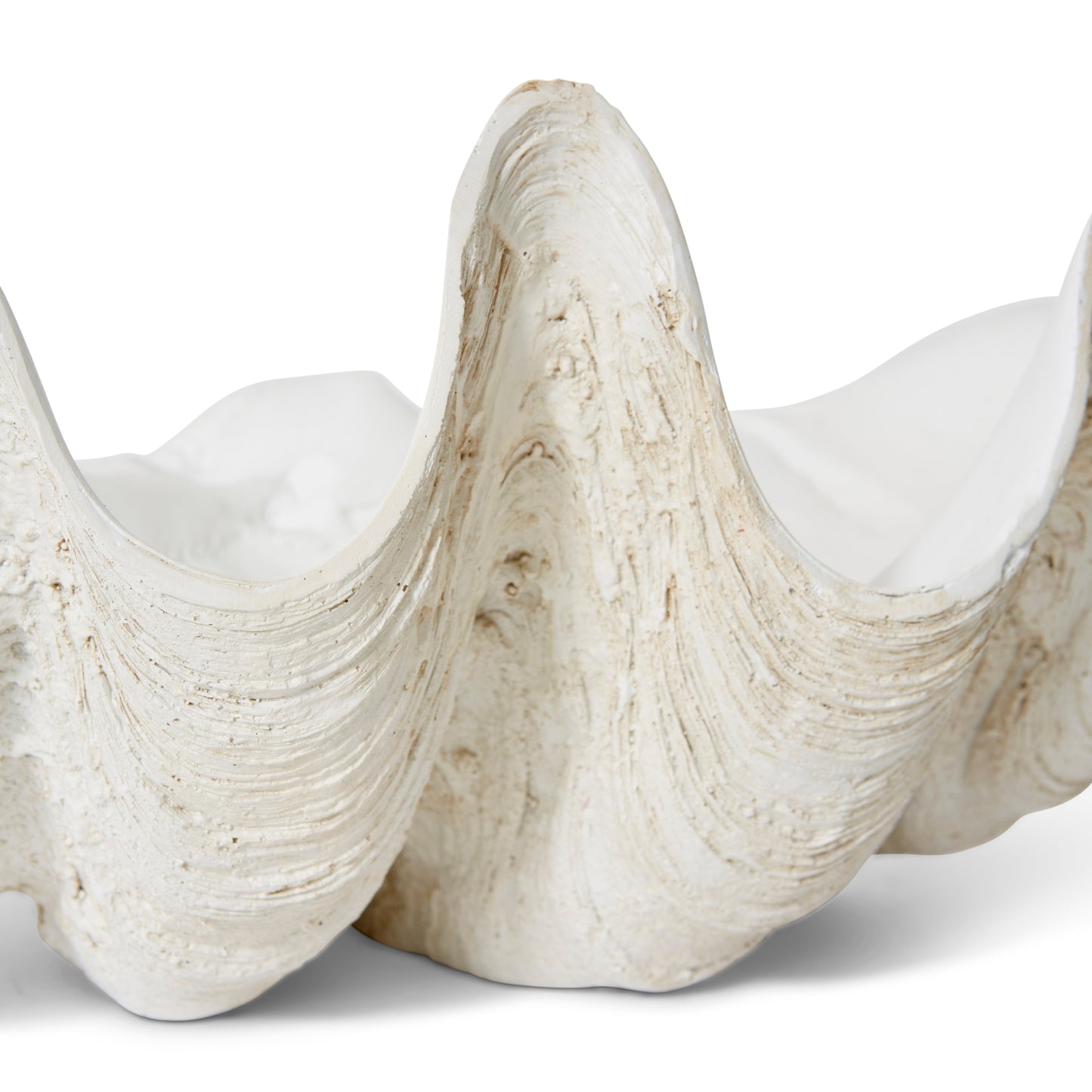 Coast to Coast Ceramic Clam Shell Ornament - 15x10x5cm