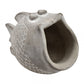 Life Botanic Fish Planter 20x11.5cm - White Wash