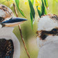 Ashdene Kookaburra Cosmetics Pouch - 27x18cm