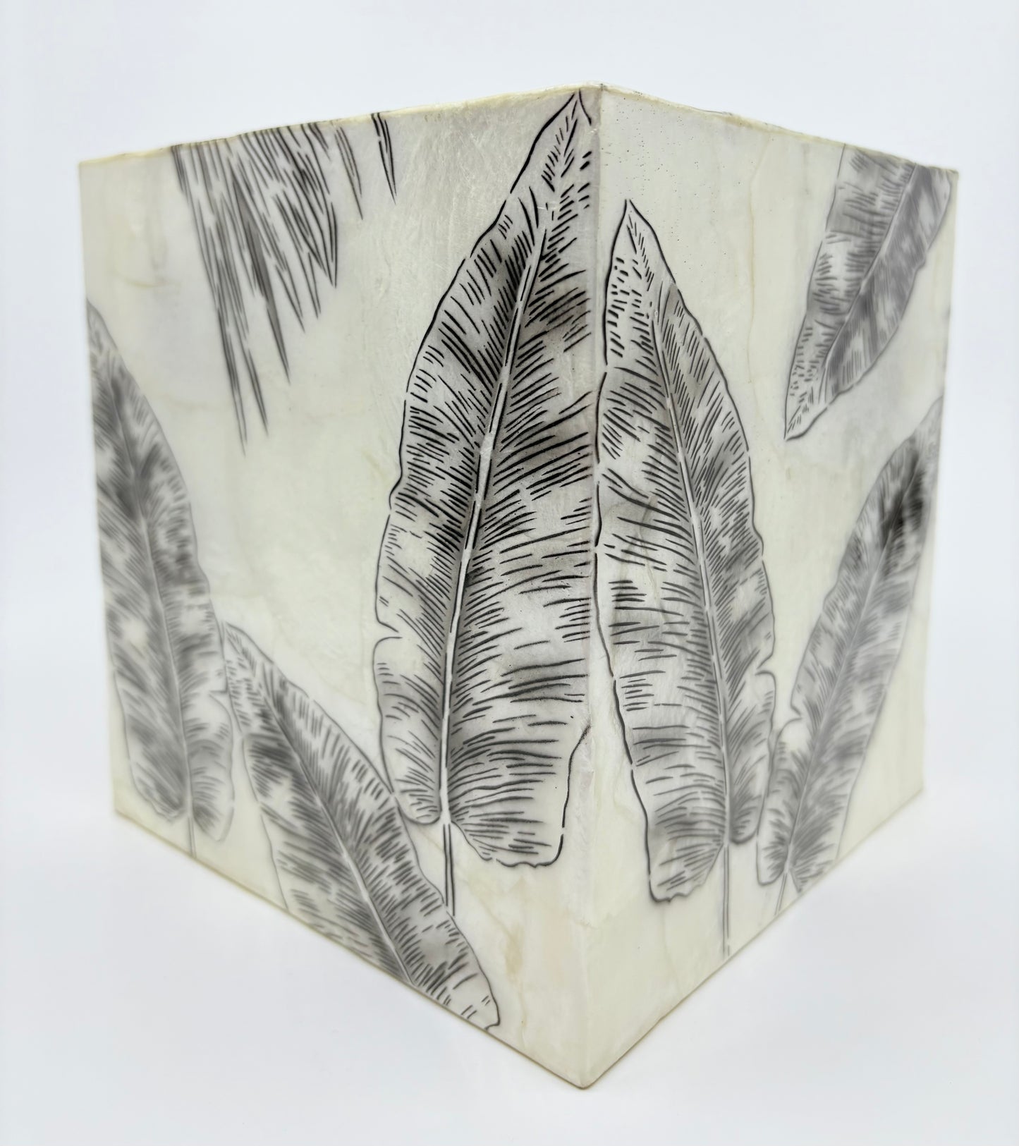 Edvin Plastic Square Tissue Box - 16x15x15cm