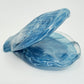 Blue Glass Clam - 15x2cm