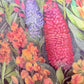 Blu Hen Micro Fibre Tea Towel - Australian Floral Natives - 70x50cm