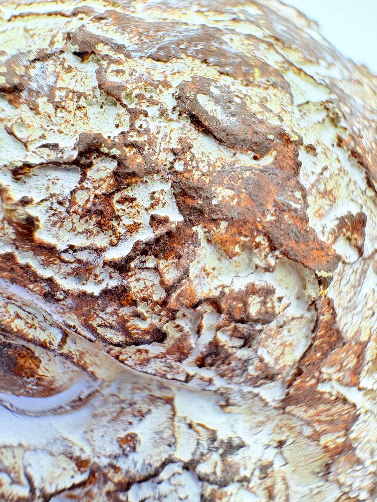 Dont Worry Be Happy Rustic Wooden Wren - 15x12x8cm