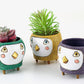 Baby Birdie Planters - Black